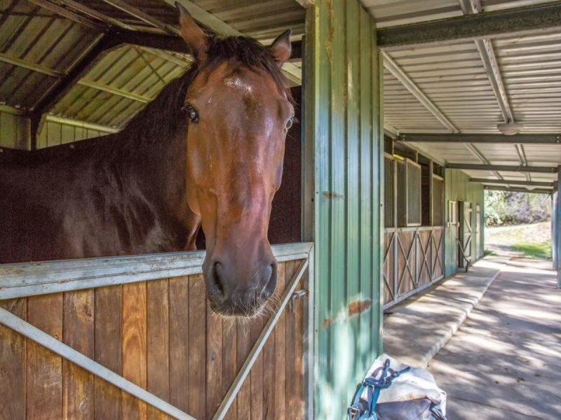 24B Baileys Road, Tallai QLD 4213