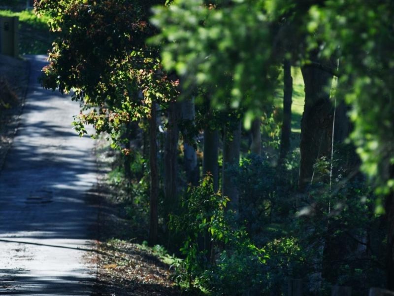 24B Baileys Road, Tallai QLD 4213