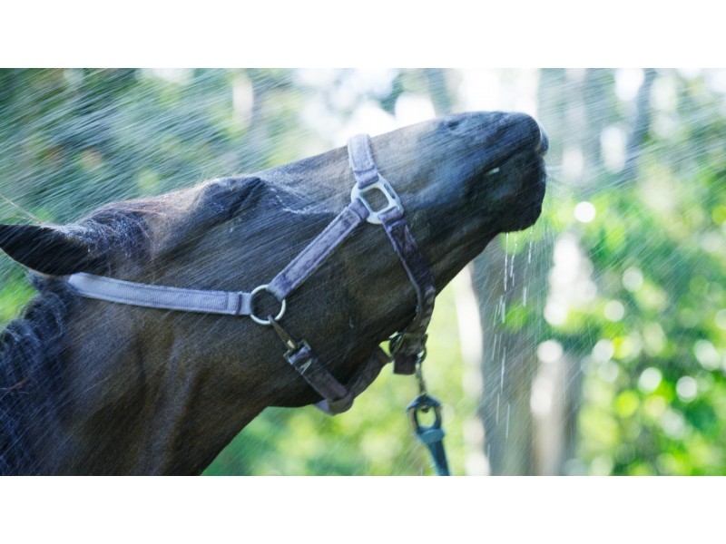 24B Baileys Road, Tallai QLD 4213