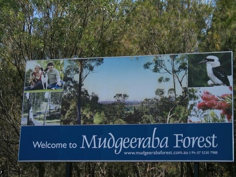 41 Canopy Drive, Bonogin QLD 4213