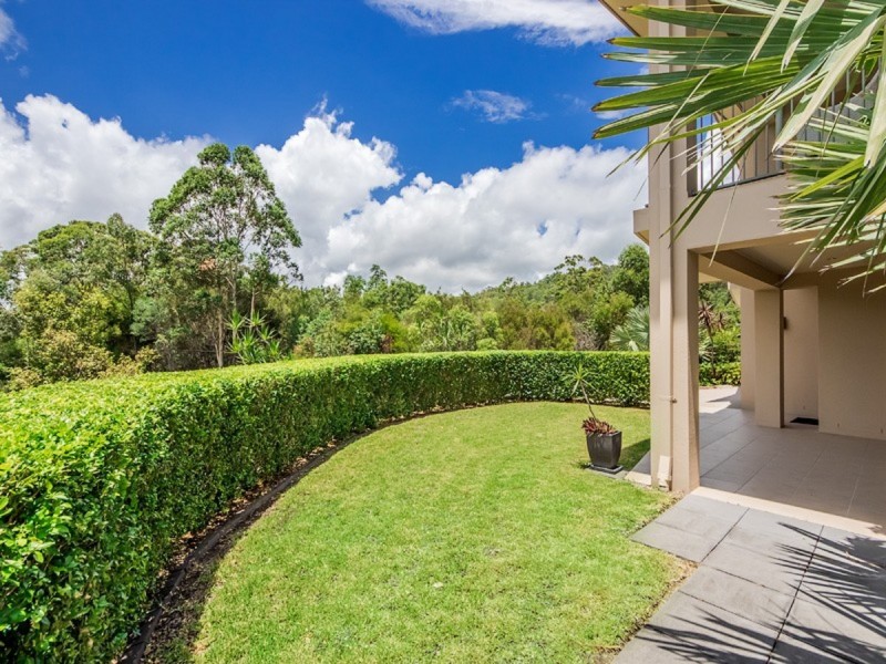 3 Wilcox Close, Reedy Creek QLD 4227