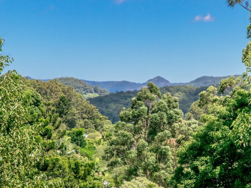 120 Valley Drive, Tallebudgera QLD 4228