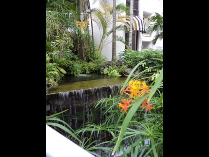 6/24 Hamilton Avenue, Surfers Paradise QLD 4217