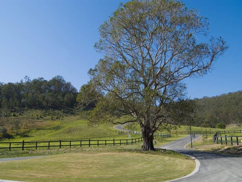 Wongawallan QLD 4210