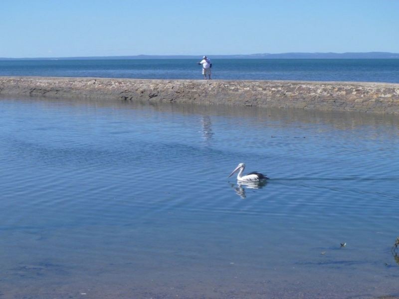 18 Fox Street, Wynnum QLD 4178