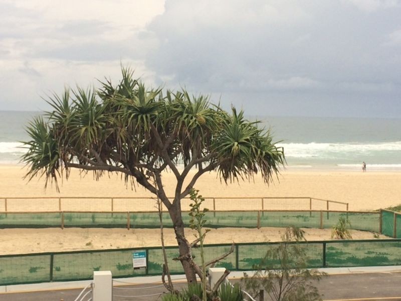 432 The Esplanade, Palm Beach QLD 4221