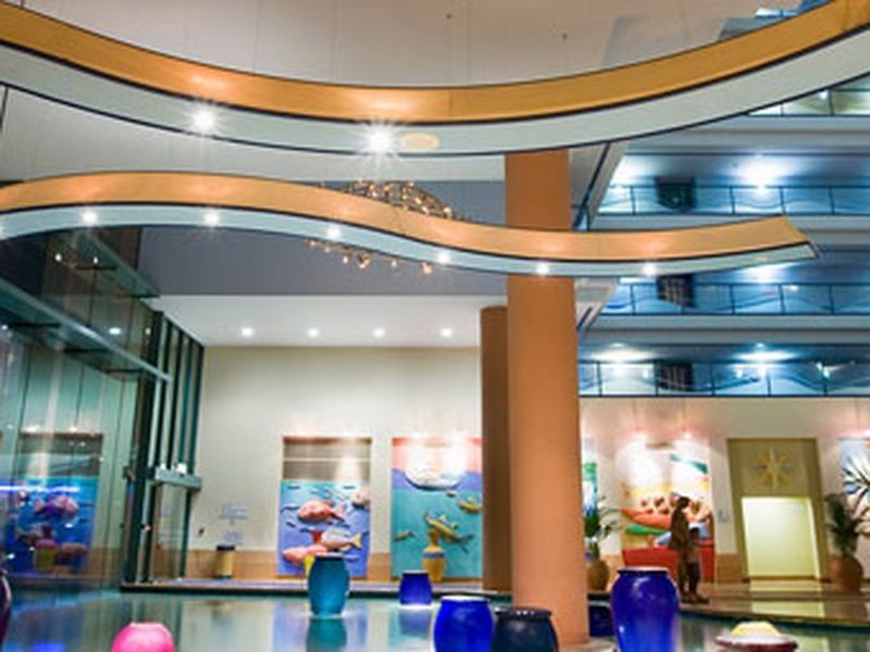 205/5-9 Palm Avenue, Surfers Paradise QLD 4217