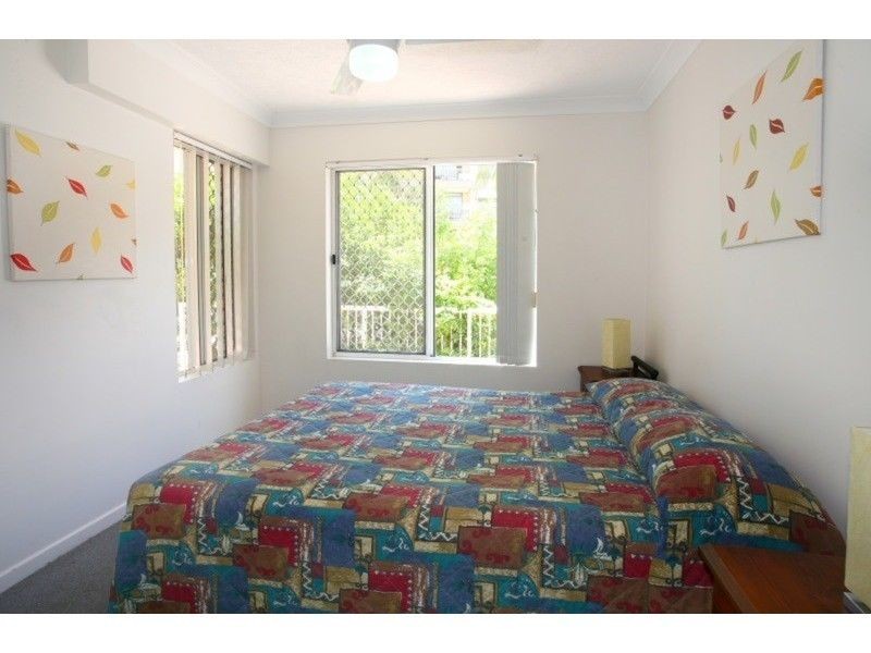 43 Cypress Avenue, Surfers Paradise QLD 4217