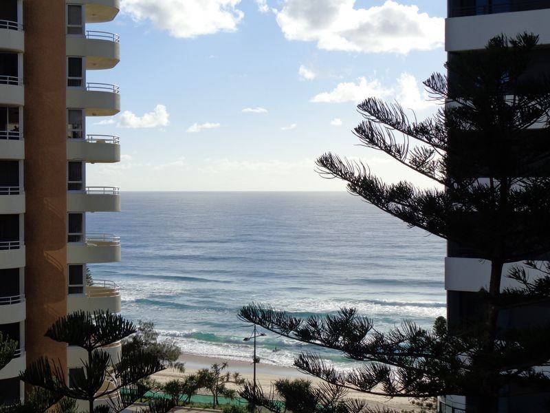 3 Orchid Avenue, Surfers Paradise QLD 4217