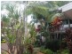 3650 Main Beach Parade, Main Beach QLD 4217
