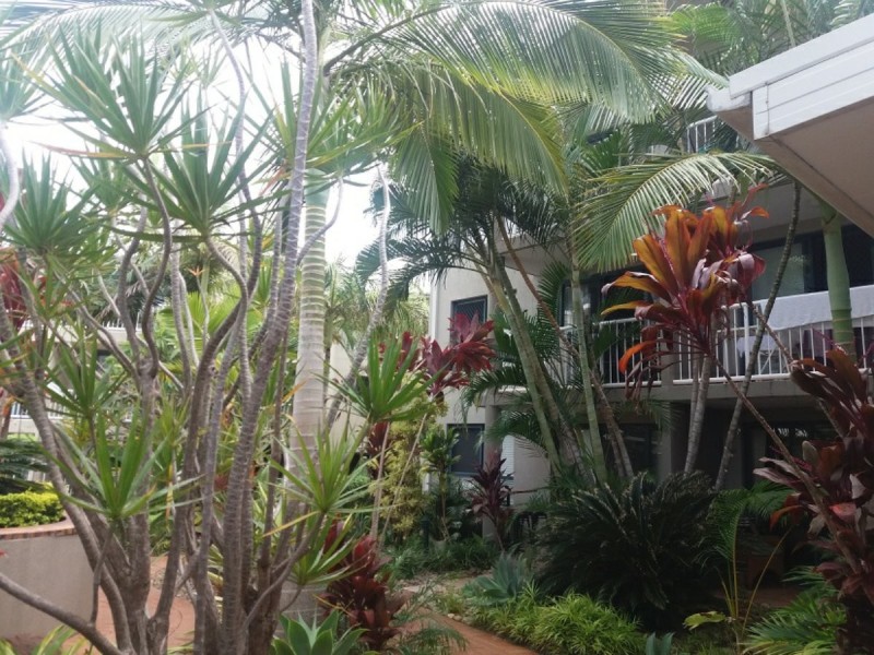 3650 Main Beach Parade, Main Beach QLD 4217