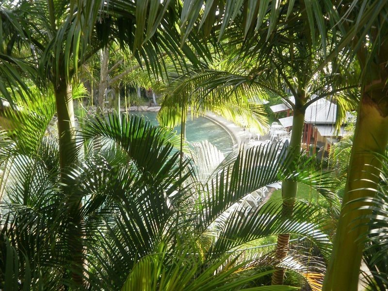 Mermaid Beach QLD 4218