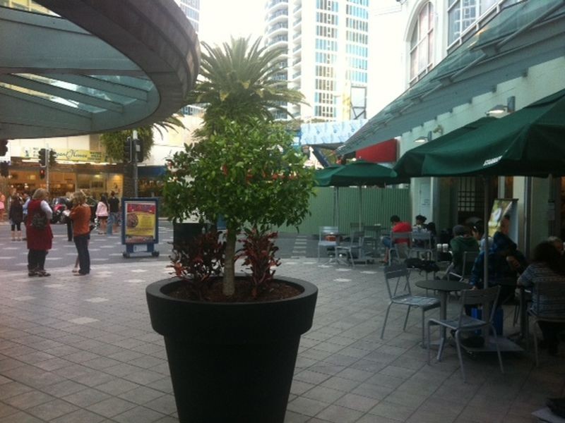 28/23 Ferny ave, Surfers Paradise QLD 4217