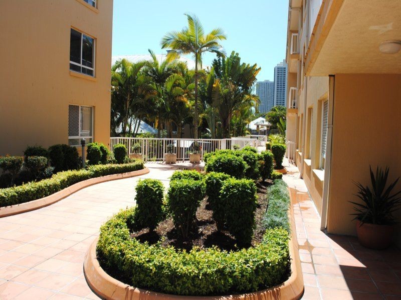 226/35 Palm Avenue, Surfers Paradise QLD 4217