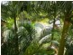 2320 Gold Coast Highway, Mermaid Beach QLD 4218