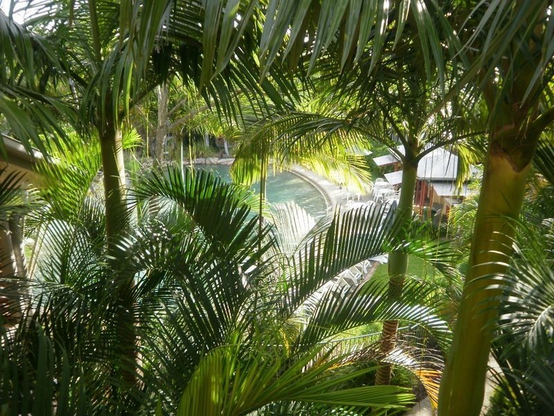 2320 Gold Coast Highway, Mermaid Beach QLD 4218