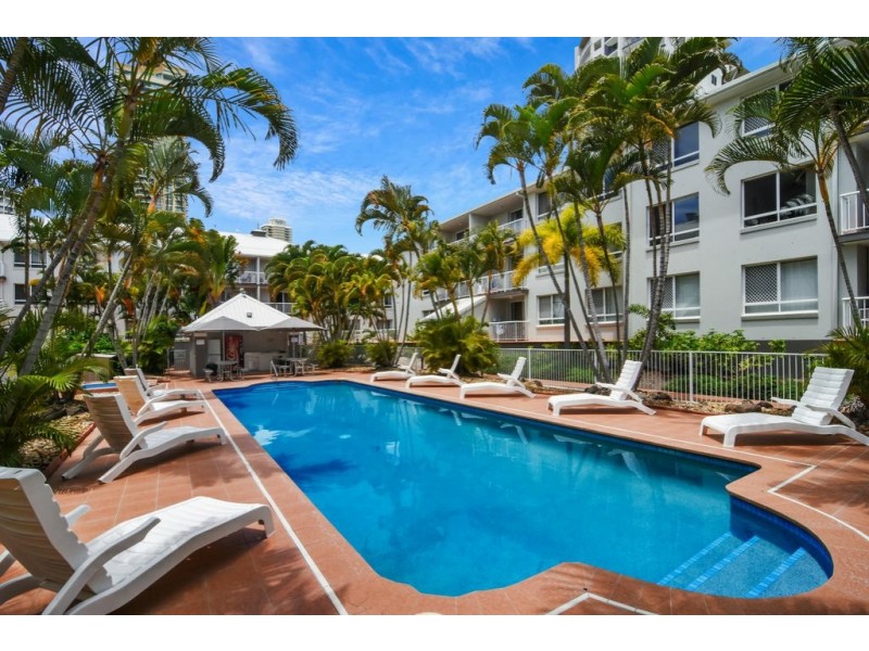 276/35-45 Palm Avenue, Surfers Paradise QLD 4217