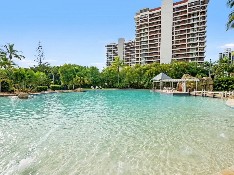 175/12 Commodore Drive, Surfers Paradise QLD 4217