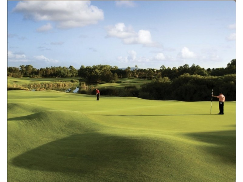 Hope Island QLD 4212