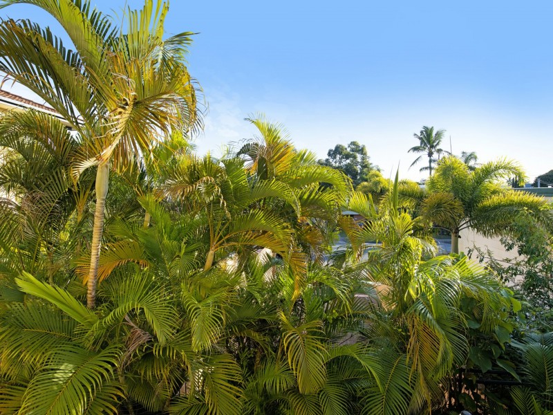 8/31-33 Mawarra Street, Surfers Paradise QLD 4217