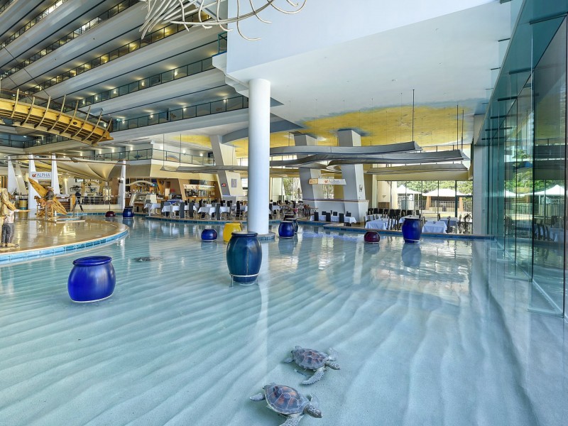 1602/5-19 Palm Avenue, Surfers Paradise QLD 4217