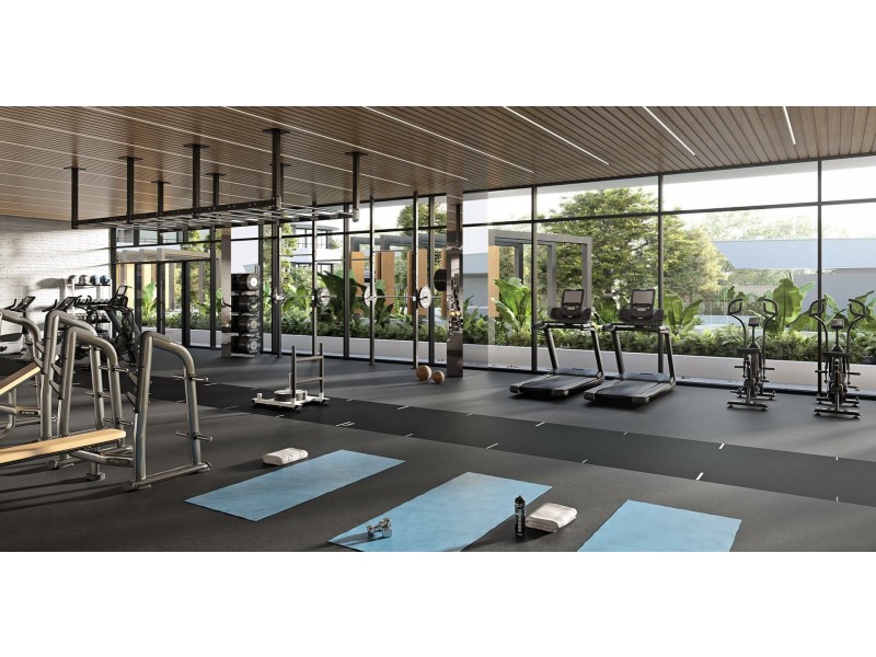 6-8 Sickle Avenue, Hope Island QLD 4212