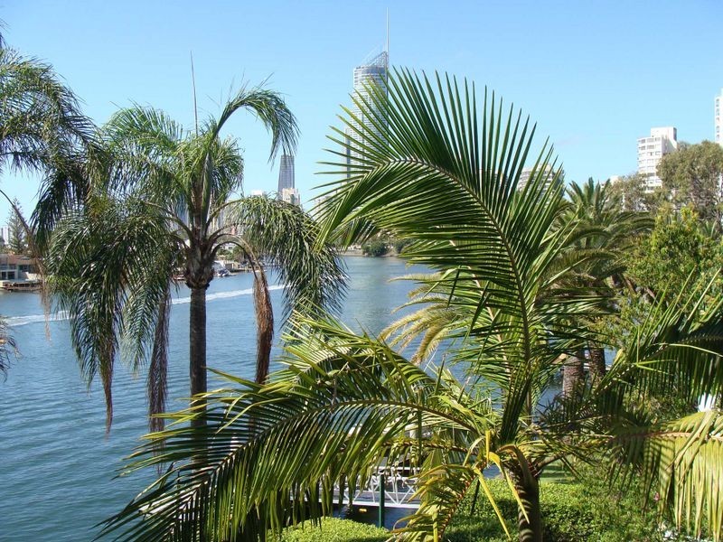 11 Cannes Avenue, Surfers Paradise QLD 4217