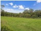 572 Tallebudgera Creek Road, Tallebudgera Valley QLD 4228