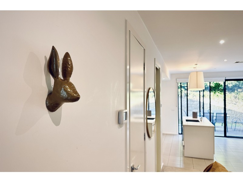 31 Mulberry Avenue, Cheltenham VIC 3192