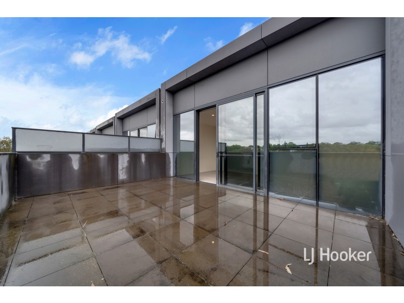 14 Periwinkle Place, Armadale VIC 3143