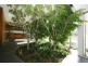 1005/1 Point Park Crescent, Docklands VIC 3008