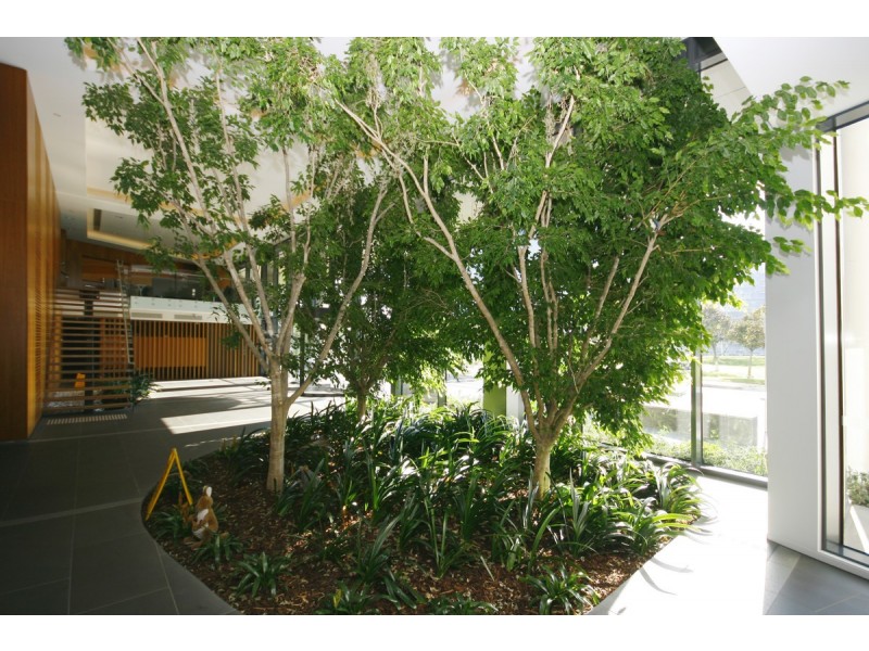 1005/1 Point Park Crescent, Docklands VIC 3008