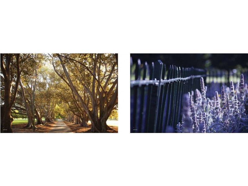 - St Kilda Road, Melbourne VIC 3004