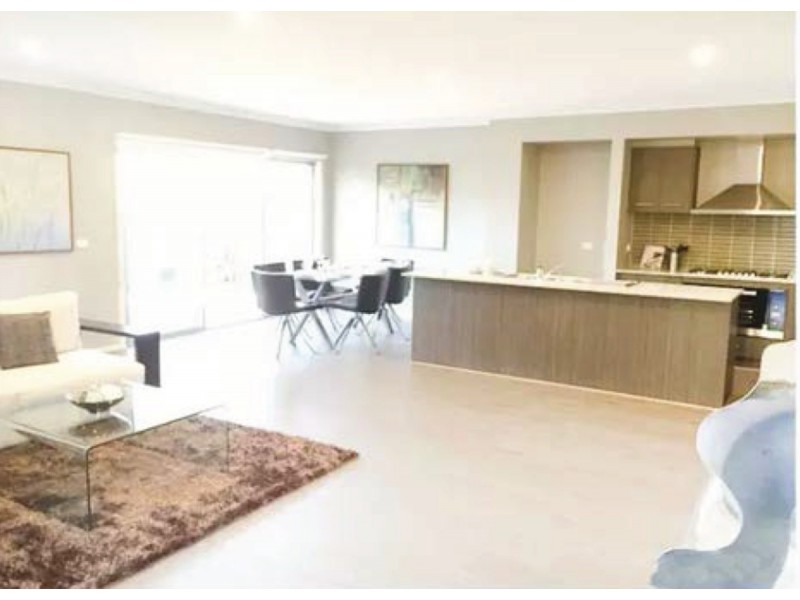 * Middleborough Road, Box Hill North VIC 3129