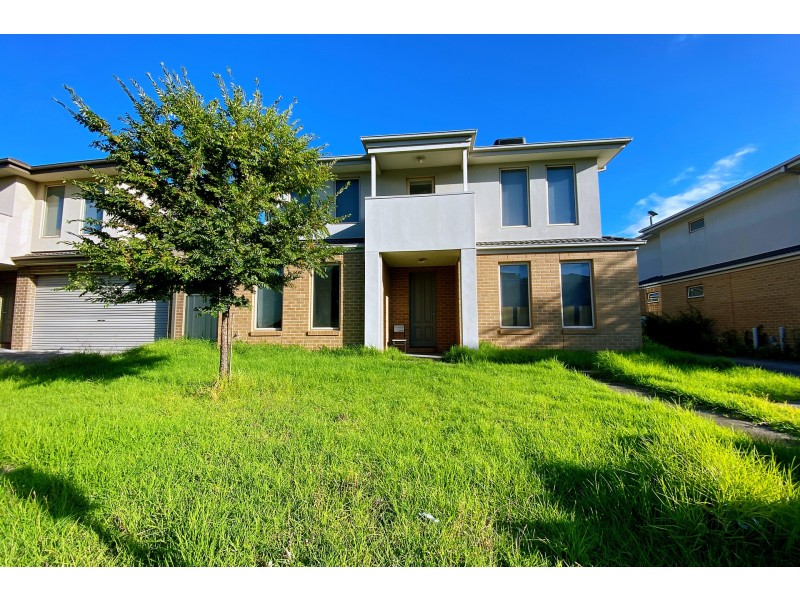 1/7 Auguste Avenue, Clayton VIC 3168