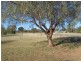 Lot 9 Bundemar Street, Wongarbon NSW 2831