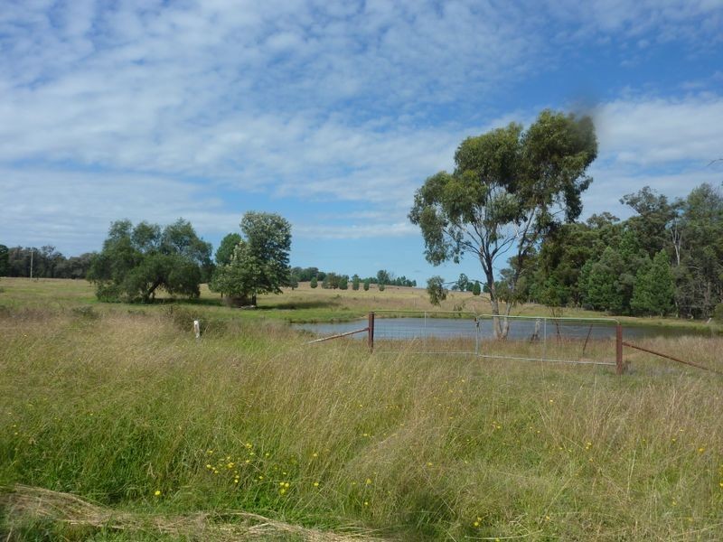 Lot 181 Westella Road Wongarbon, Wongarbon NSW 2831