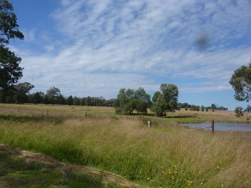 Lot 181 Westella Road Wongarbon, Wongarbon NSW 2831