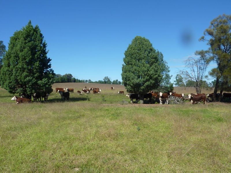 Lot 181 Westella Road Wongarbon, Wongarbon NSW 2831