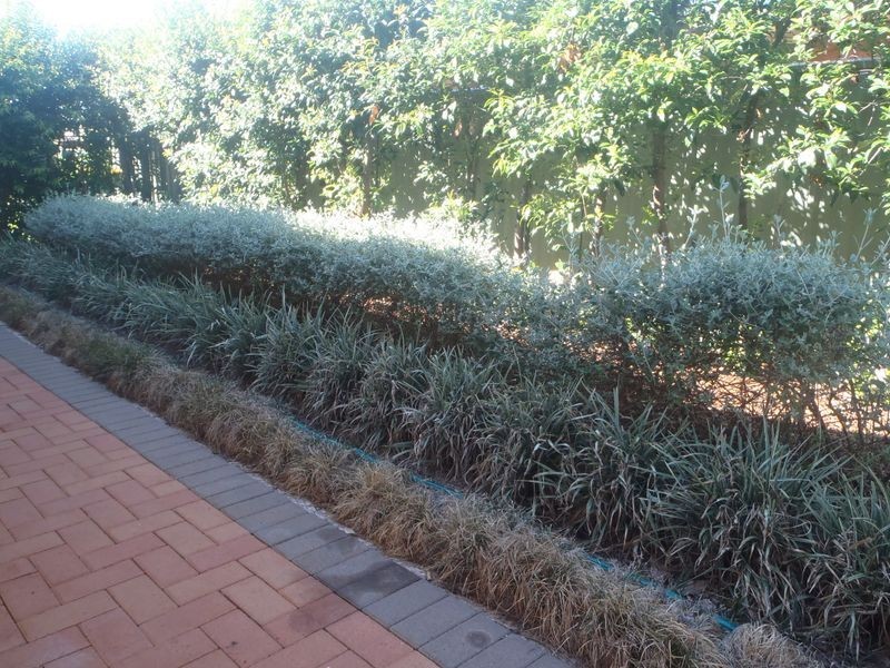 12 Nepean Place, Dubbo NSW 2830