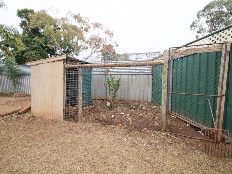 31 Braun Avenue, Dubbo NSW 2830