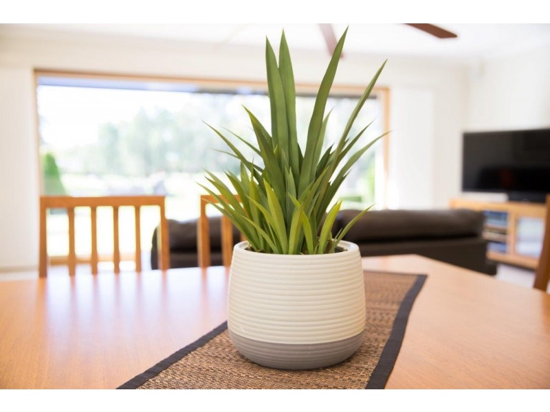 24 Turnberry Terrace, Dubbo NSW 2830
