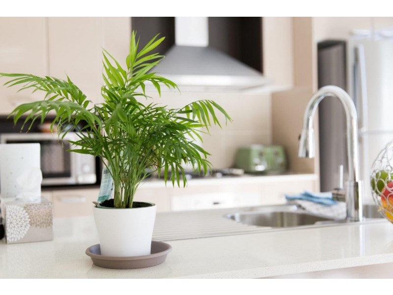 6 Torvean Avenue, Dubbo NSW 2830