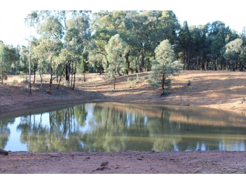 20L Harefield Road, Dubbo NSW 2830