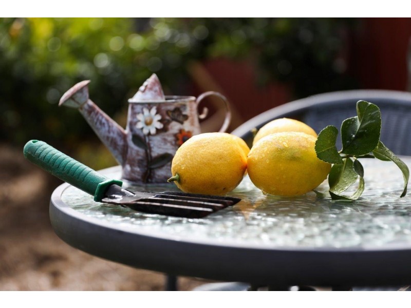 29 Jacqueline Drive, Dubbo NSW 2830