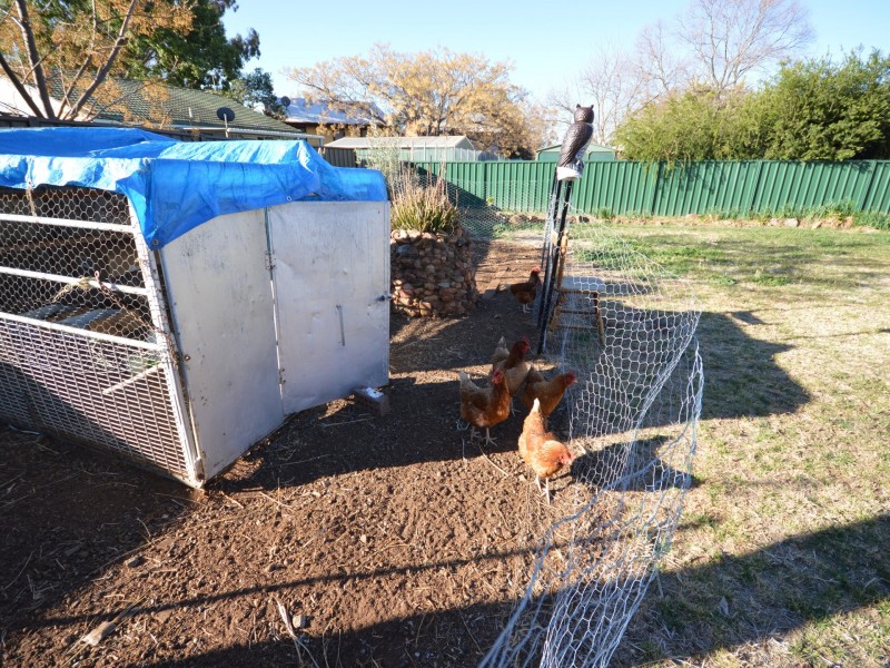 17 Young Street, Dubbo NSW 2830