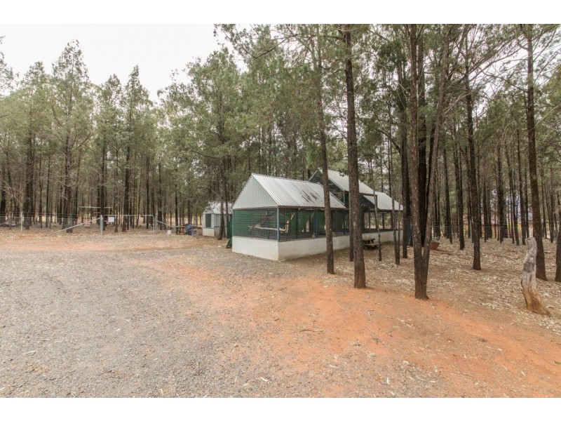 18L Debeaufort Drive, Dubbo NSW 2830