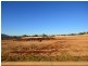 1 Rosewood View Estate, Dubbo NSW 2830