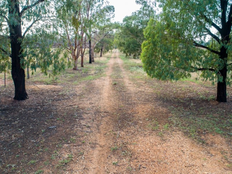 44R Whitewood Road, Dubbo NSW 2830