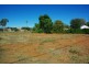 67 Warne Street, Wellington NSW 2820